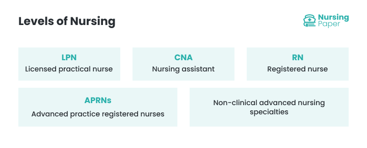 levels of nursing levels of nursing