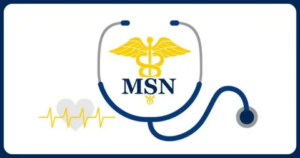 Masters of Science in Nursing (MSN) 