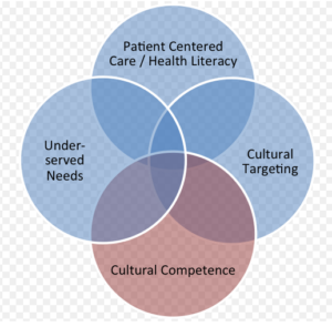 Diversity and Health Assessment Discussion week 2