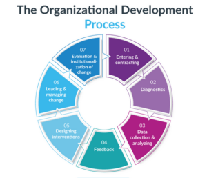 organizational development process