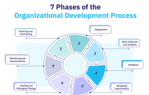 organizational development process