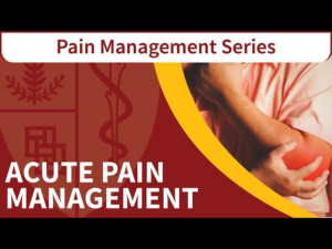 Nursing Acute Pain Management