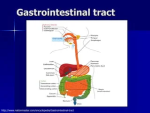 Gastrointestinal and Hepatobiliary Disorders