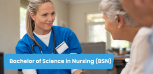 Bachelor of Science in Nursing Programs