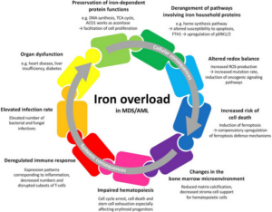 Iron Deficiency