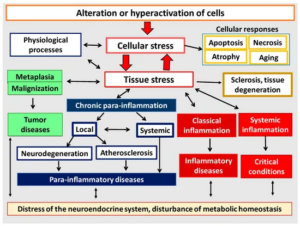 Advanced Pathophysiology