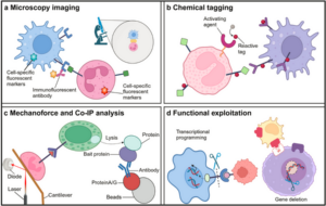 Alterations in Cellular Processes