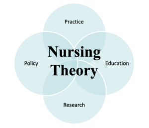 Nursing theory