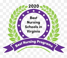 Nursing degrees in Virginia