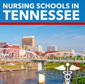 nursing schools in Tennessee