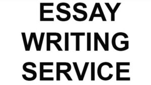 Essay writing service