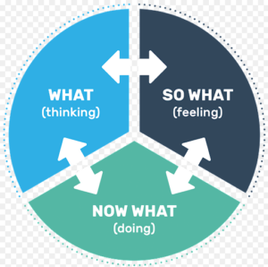 Driscoll Model of Reflection