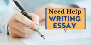 Professional Essay Writing Assistance