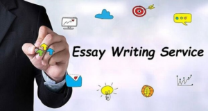 Essay Writing Assistance