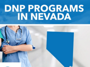 Best RN-to-MSN Programs in Nevada