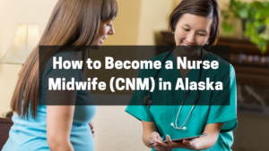 The Top Nursing Schools in Alaska