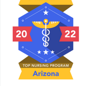 The Top Nursing Schools in Arizona