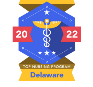 The Top Nursing Schools in Delaware