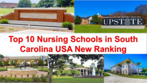 The Top South Carolina Nursing Schools and Programs